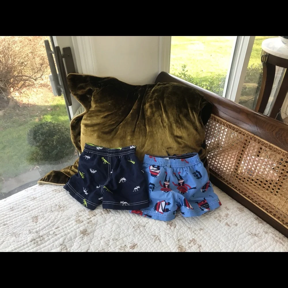 4/$25 Two Carter Swim trunks